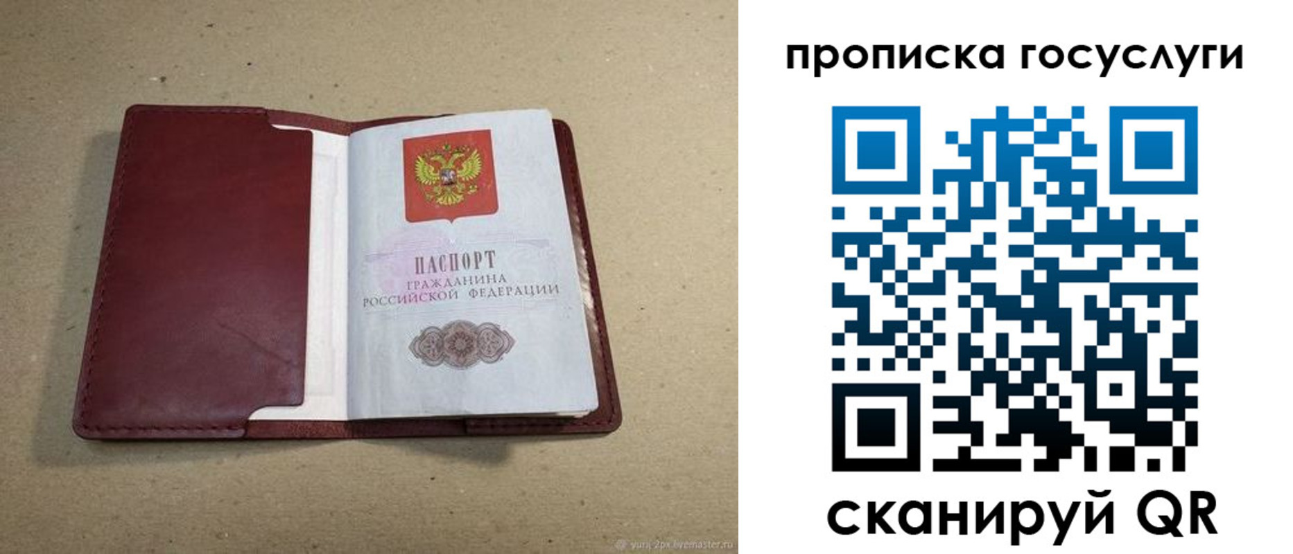 прописка поиск в Первомайске